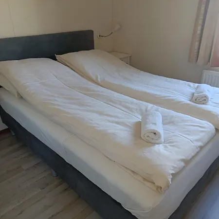 Sunny Near Amsterdam At Venhop *