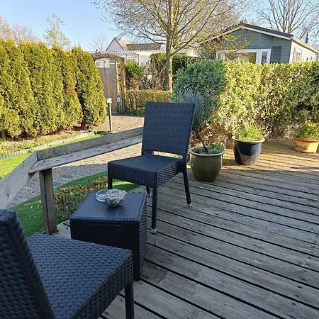 Sunny Near Amsterdam At Venhop Berkhout