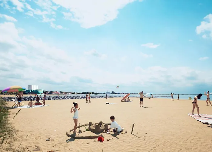 Sunny Near Amsterdam At Venhop *