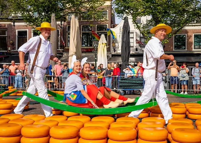 Sunny Near Amsterdam At Venhop