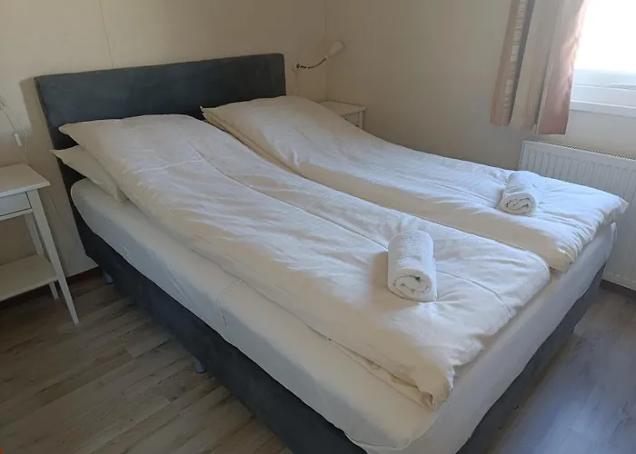 Sunny Near Amsterdam At Venhop *